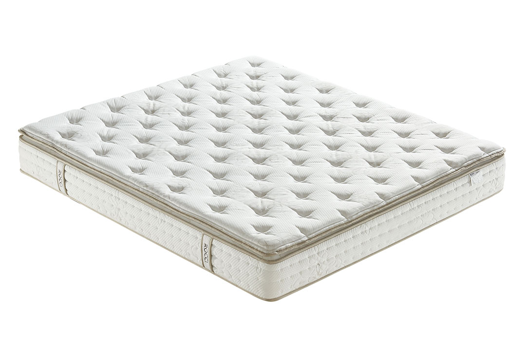 曼切斯特II(怡心)