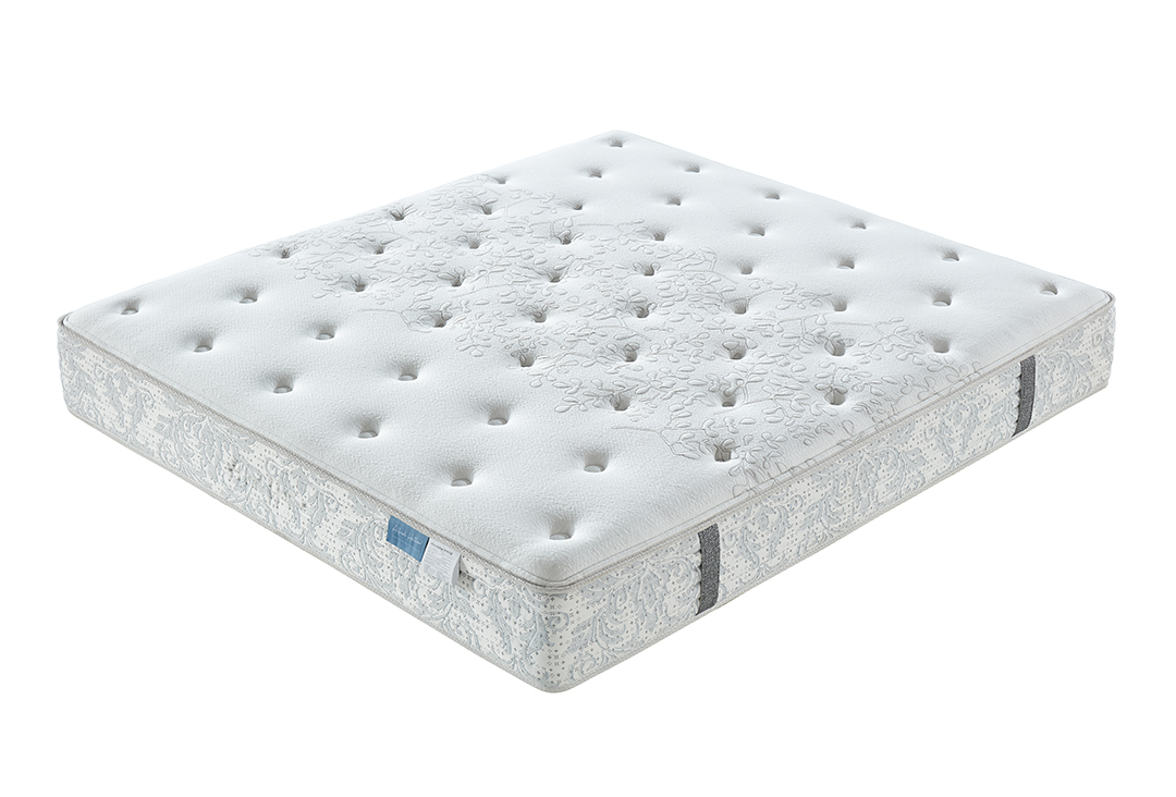 Chiropractor 護脊專家